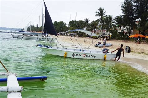 boracay hiring|68 Boracay mga trabaho sa Philippines (1 bago).
